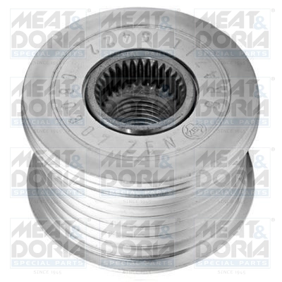 Alternator Freewheel Clutch